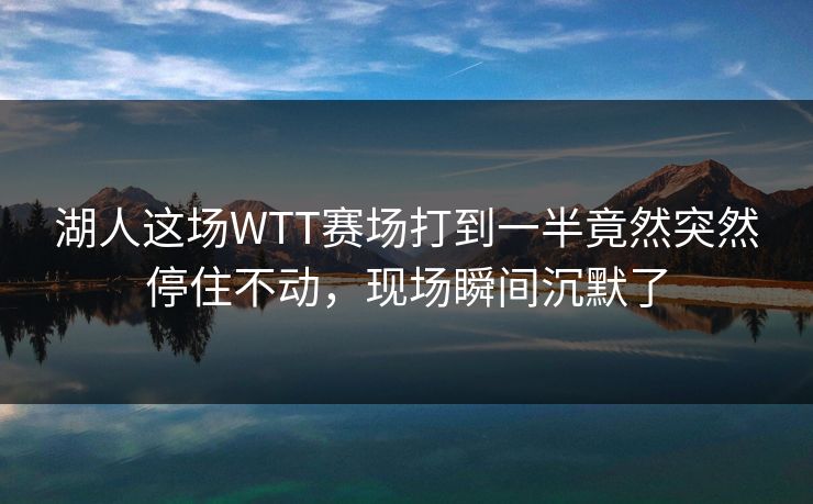 湖人这场WTT赛场打到一半竟然突然停住不动，现场瞬间沉默了