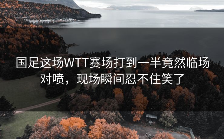 国足这场WTT赛场打到一半竟然临场对喷，现场瞬间忍不住笑了