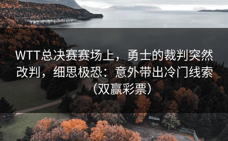 WTT总决赛赛场上，勇士的裁判突然改判，细思极恐：意外带出冷门线索（双赢彩票）