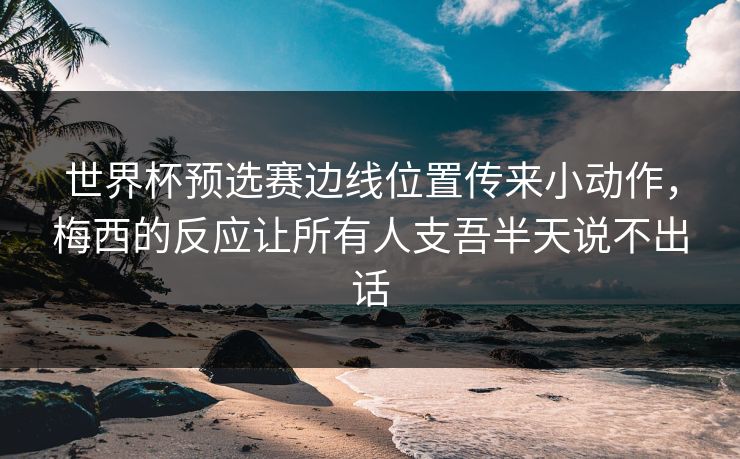 世界杯预选赛边线位置传来小动作，梅西的反应让所有人支吾半天说不出话