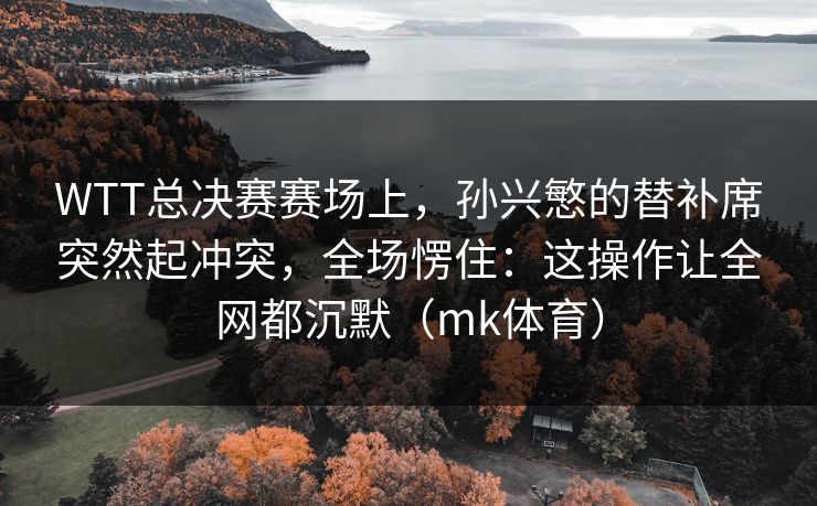 WTT总决赛赛场上，孙兴慜的替补席突然起冲突，全场愣住：这操作让全网都沉默（mk体育）