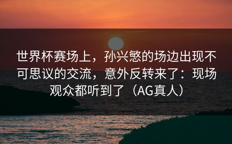世界杯赛场上，孙兴慜的场边出现不可思议的交流，意外反转来了：现场观众都听到了（AG真人）