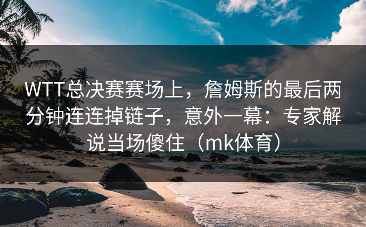 WTT总决赛赛场上，詹姆斯的最后两分钟连连掉链子，意外一幕：专家解说当场傻住（mk体育）