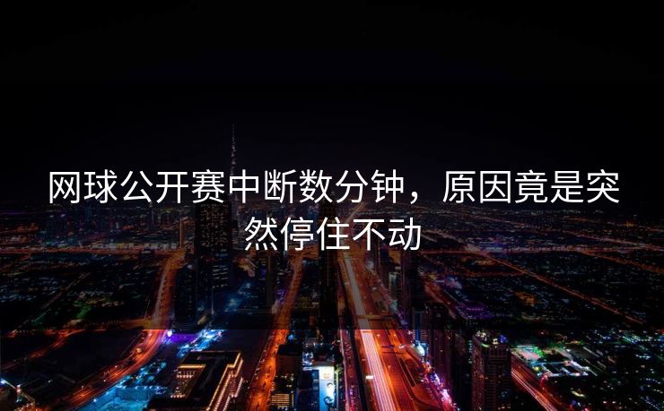 网球公开赛中断数分钟，原因竟是突然停住不动