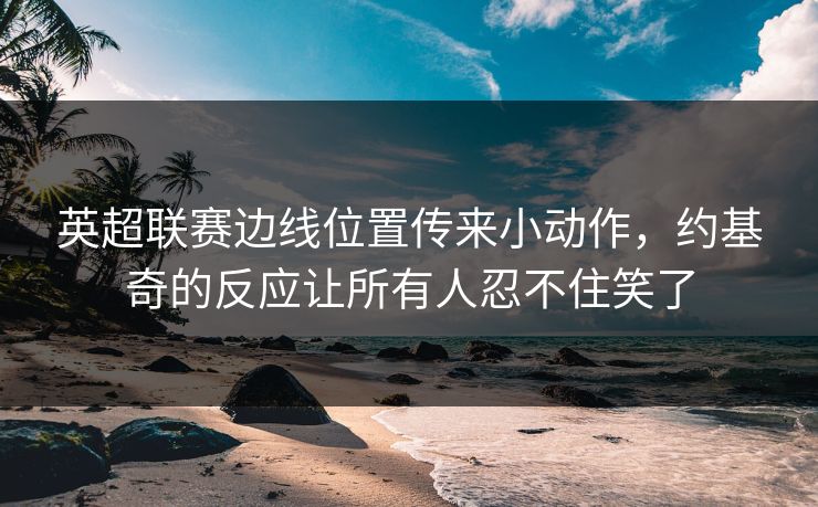 英超联赛边线位置传来小动作，约基奇的反应让所有人忍不住笑了