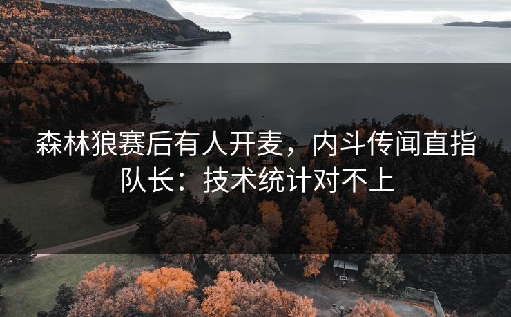 森林狼赛后有人开麦，内斗传闻直指队长：技术统计对不上